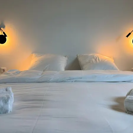 Zen - Arrivee Autonome