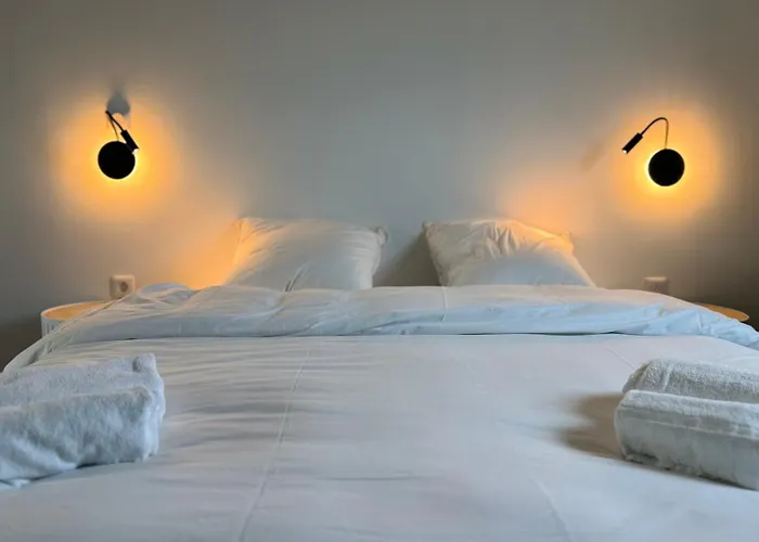 Zen - Arrivée Autonome